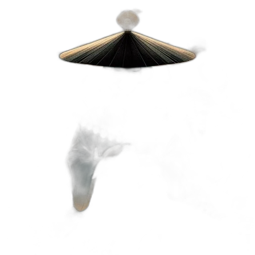 hair, hat, umbrella, jewelry transparent PNG cut-out
