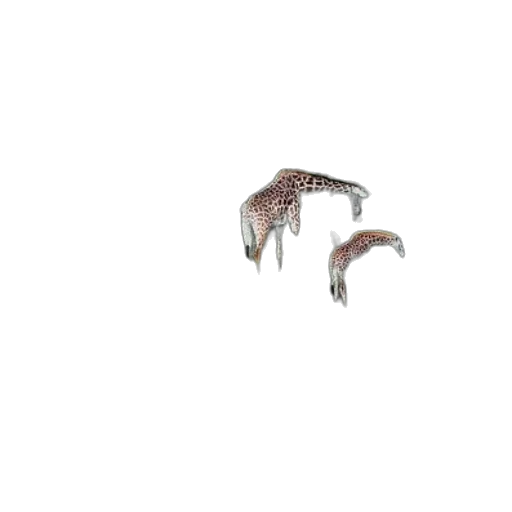 dragon, animal, creature, jewelry transparent PNG cut-out