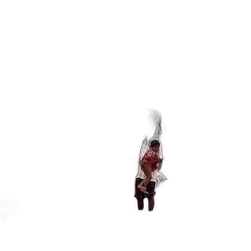 sword, staff, weapon, animal transparent PNG cut-out