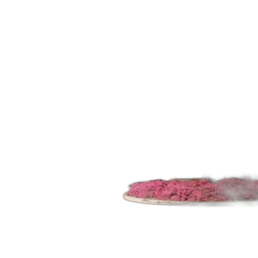 shoes, hair, hat, food transparent PNG cut-out
