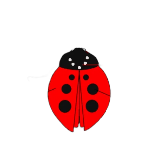 animal, creature, umbrella, face transparent PNG cut-out