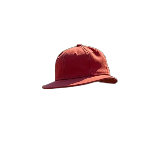 hat, crown, staff, jacket transparent PNG cut-out