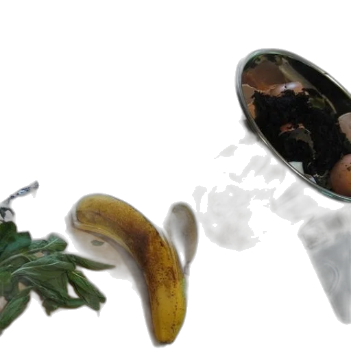 mask, food, creature, weapon transparent PNG cut-out