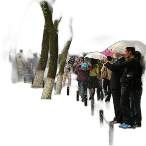 umbrella, staff, jacket, tree transparent PNG cut-out