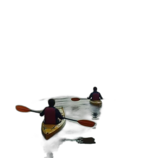 shoes, animal, robot, crown transparent PNG cut-out