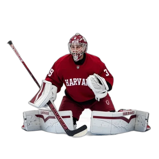 animal, person, harvard, university transparent PNG cut-out