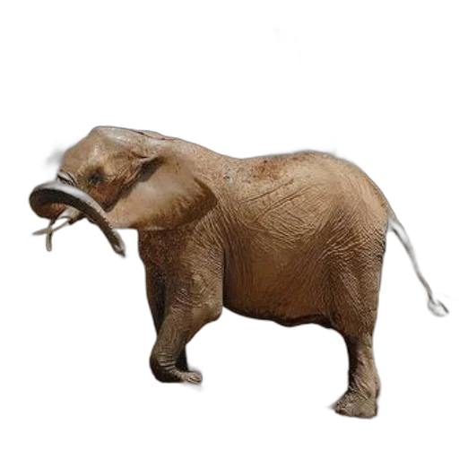 animal, creature, staff, jewelry transparent PNG cut-out