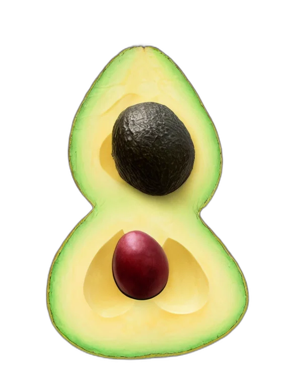 food, hat, crown, animal transparent PNG cut-out