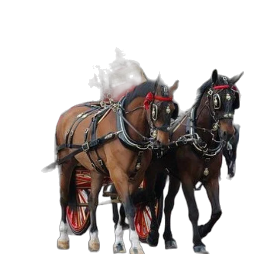 animal, staff, weapon, mask transparent PNG cut-out