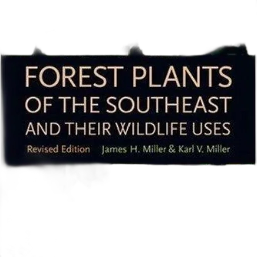 forest, plants, southeast, their transparent PNG cut-out