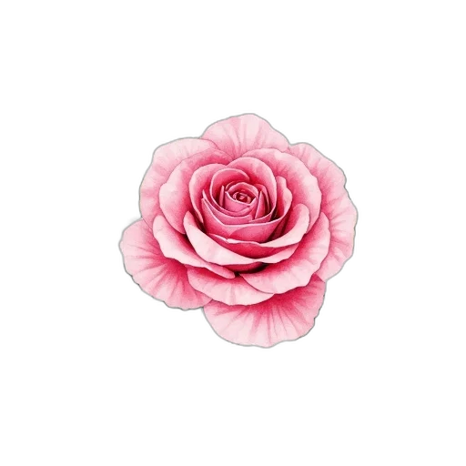 flower, crown, jewelry, face transparent PNG cut-out