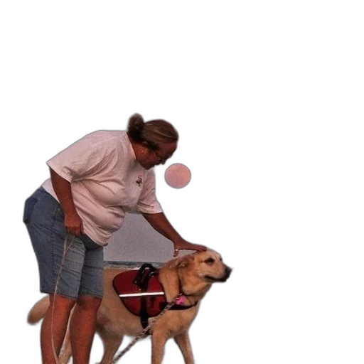 staff, umbrella, animal, jacket transparent PNG cut-out