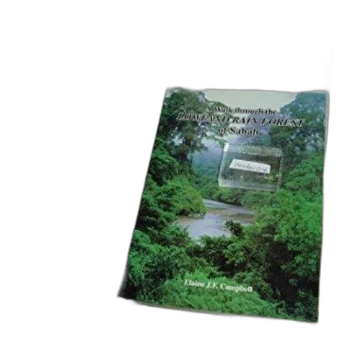 car, photorealistic, 3d render, forest transparent PNG cut-out