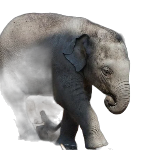 animal, creature, photorealistic, 3d render transparent PNG cut-out