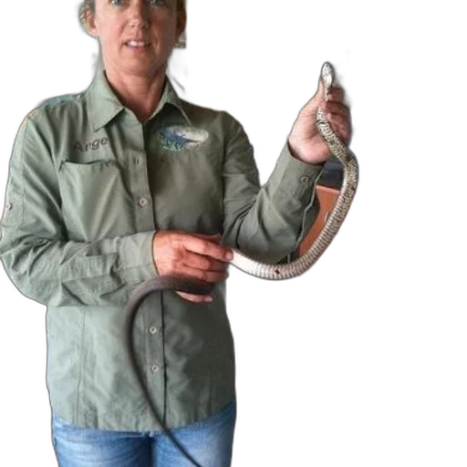 staff, animal, hair, weapon transparent PNG cut-out