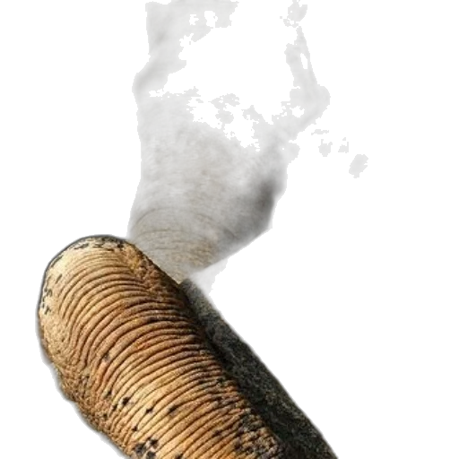 bottle, weapon, hair, staff transparent PNG cut-out