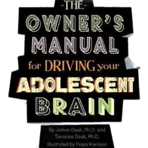 owner, manual, driving, adolescent transparent PNG cut-out