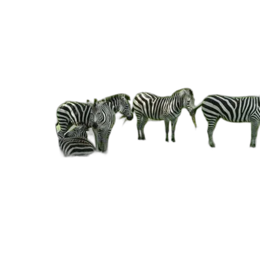 furniture, animal, jewelry, 3d render transparent PNG cut-out