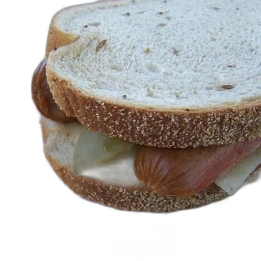 food, animal, creature, weapon transparent PNG cut-out