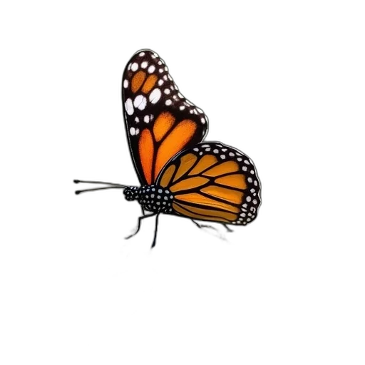animal, creature, crown, flower transparent PNG cut-out