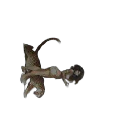 dragon, staff, creature, animal transparent PNG cut-out