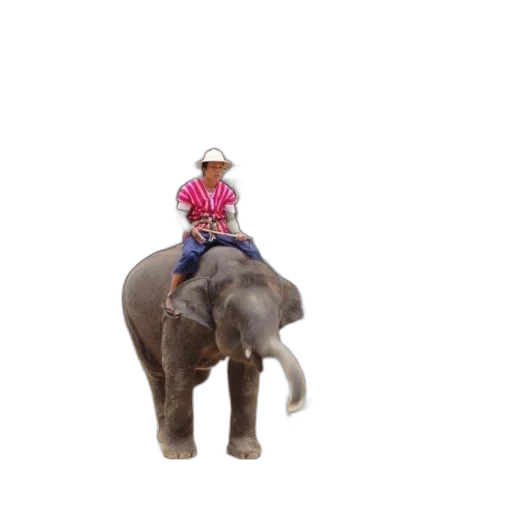 animal, hat, creature, staff transparent PNG cut-out