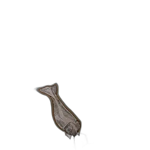 animal, hair, creature, shoes transparent PNG cut-out