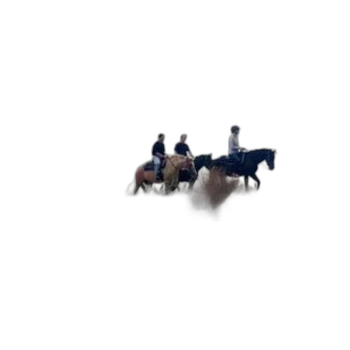 furniture, animal, car, staff transparent PNG cut-out