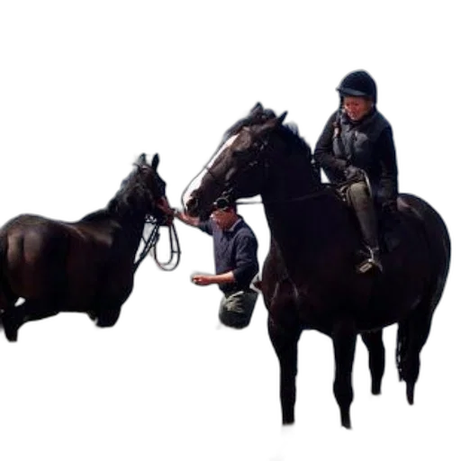 animal, concept art, photorealistic, person transparent PNG cut-out