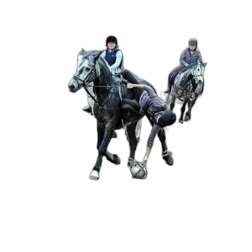 concept art, photorealistic, pixel art, horse transparent PNG cut-out