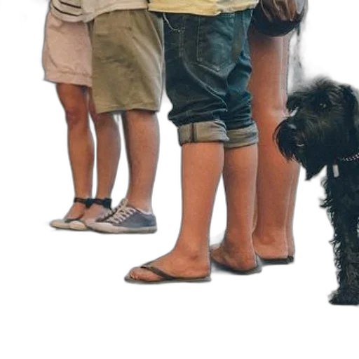 shoes, staff, animal, umbrella transparent PNG cut-out