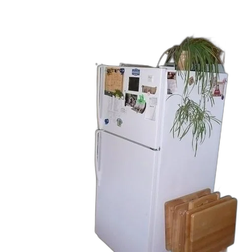 furniture, tree, robot, staff transparent PNG cut-out