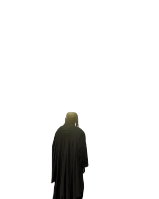 jacket, creature, staff, sword transparent PNG cut-out