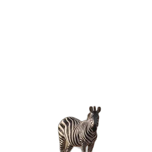 animal, creature, furniture, shoes transparent PNG cut-out