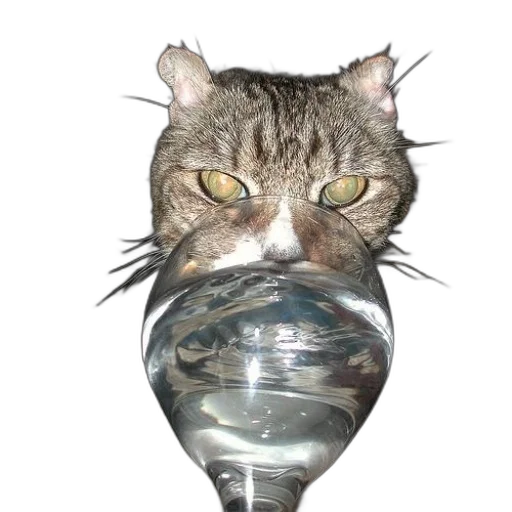 staff, animal, bottle, mask transparent PNG cut-out