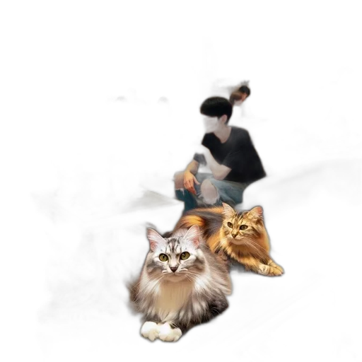 animal, staff, creature, concept art transparent PNG cut-out