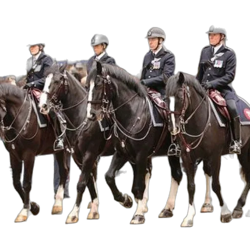 group, mounted, police, officers transparent PNG cut-out