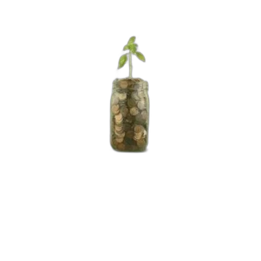 bottle, tree, food, crown transparent PNG cut-out