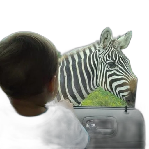 animal, creature, hat, robot transparent PNG cut-out