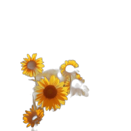 flower, crown, jewelry, weapon transparent PNG cut-out