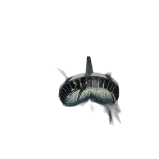 animal, creature, hair, hat transparent PNG cut-out