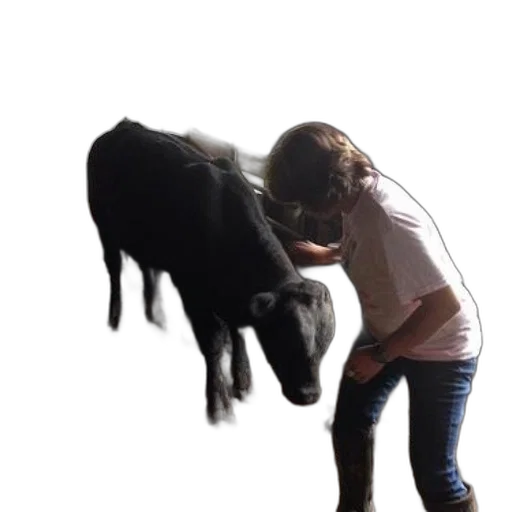 animal, creature, photorealistic, person transparent PNG cut-out
