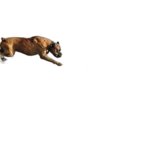 animal, creature, dragon, car transparent PNG cut-out