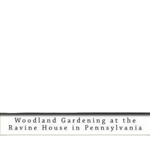 building, book, cover, featuring transparent PNG cut-out
