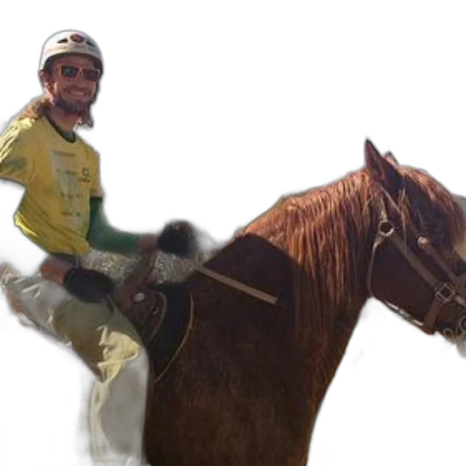 animal, photorealistic, man, yellow transparent PNG cut-out