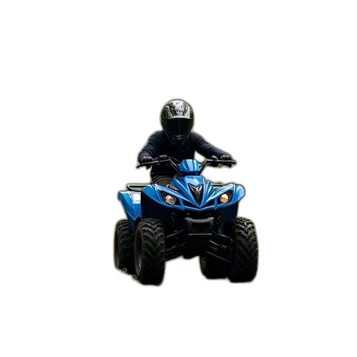 robot, car, animal, creature transparent PNG cut-out