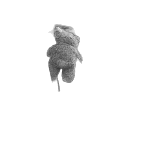 flower, hat, creature, hair transparent PNG cut-out