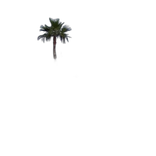 tree, umbrella, building, staff transparent PNG cut-out