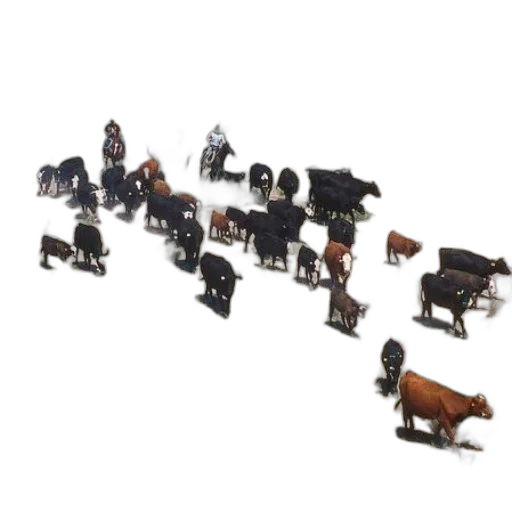 furniture, animal, jewelry, staff transparent PNG cut-out