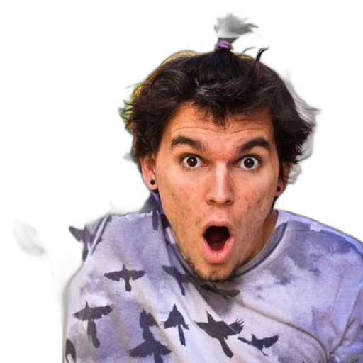 animal, hair, face, creature transparent PNG cut-out